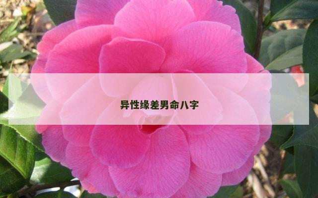 异性缘差男命八字