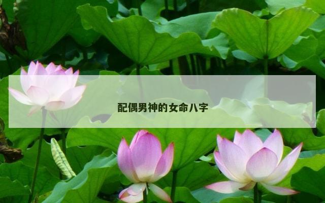 配偶男神的女命八字