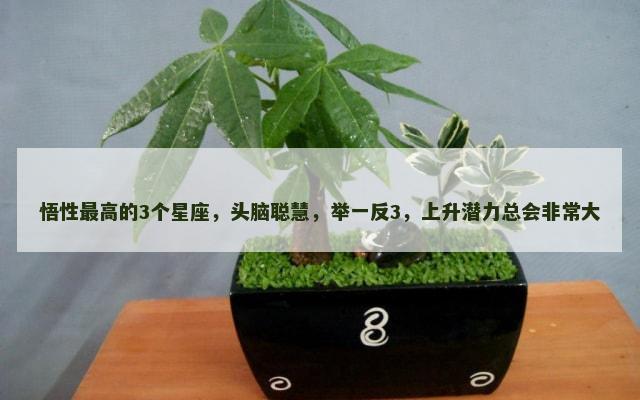 悟性最高的3个星座，头脑聪慧，举一反3，上升潜力总会非常大