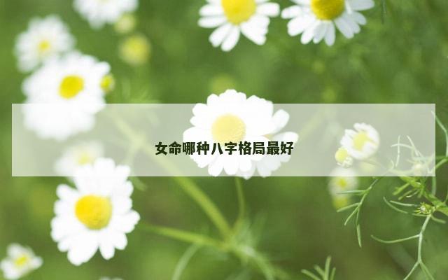 女命哪种八字格局最好