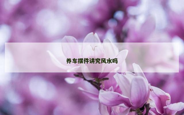 养车摆件讲究风水吗
