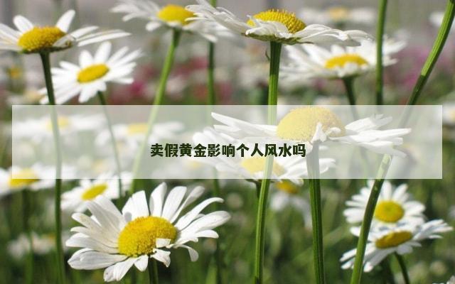卖假黄金影响个人风水吗