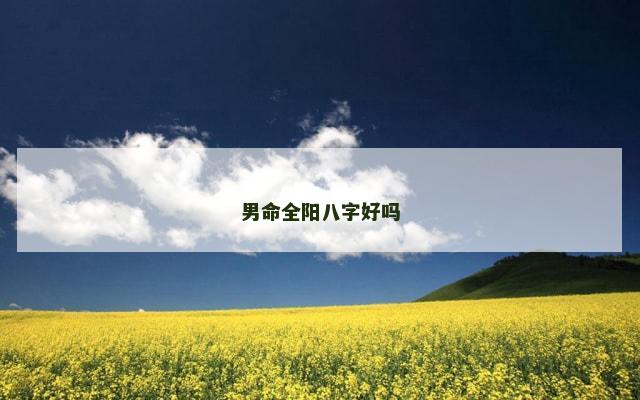 男命全阳八字好吗