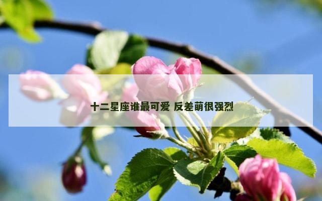 十二星座谁最可爱 反差萌很强烈