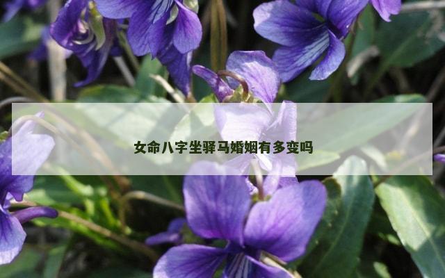 女命八字坐驿马婚姻有多变吗