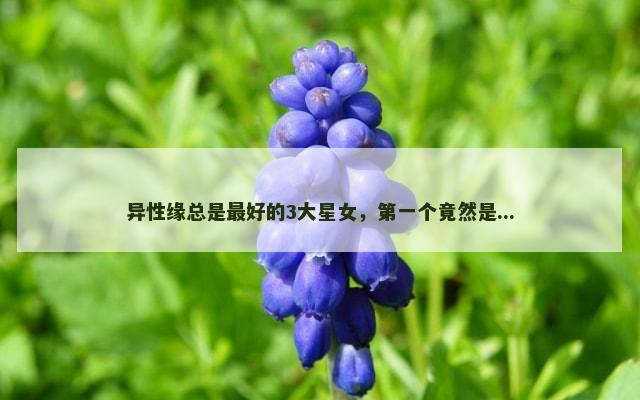 异性缘总是最好的3大星女，第一个竟然是...