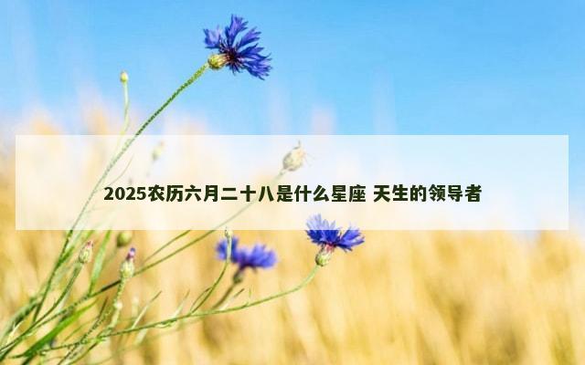 2025农历六月二十八是什么星座 天生的领导者