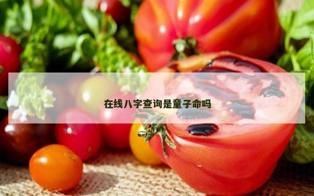 在线八字查询是童子命吗