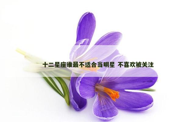十二星座谁最不适合当明星 不喜欢被关注