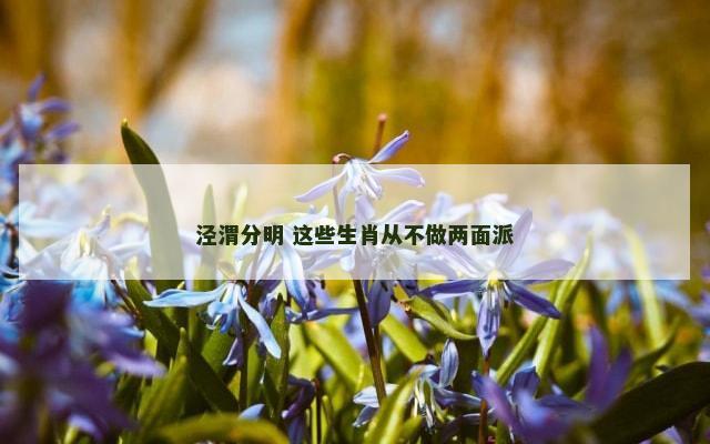 泾渭分明 这些生肖从不做两面派