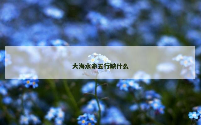 大海水命五行缺什么