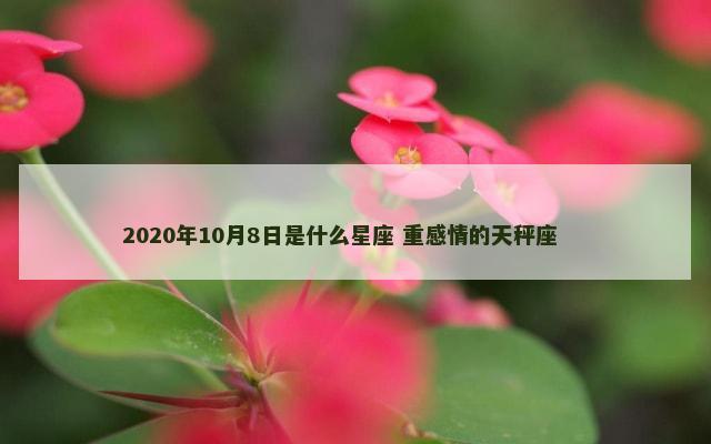 2020年10月8日是什么星座 重感情的天秤座 　　