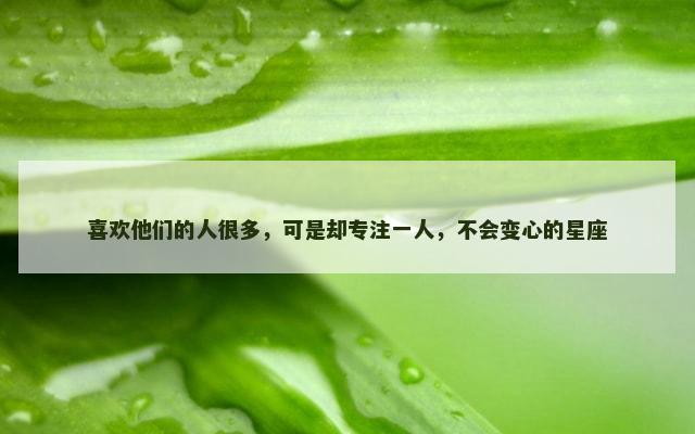 喜欢他们的人很多，可是却专注一人，不会变心的星座