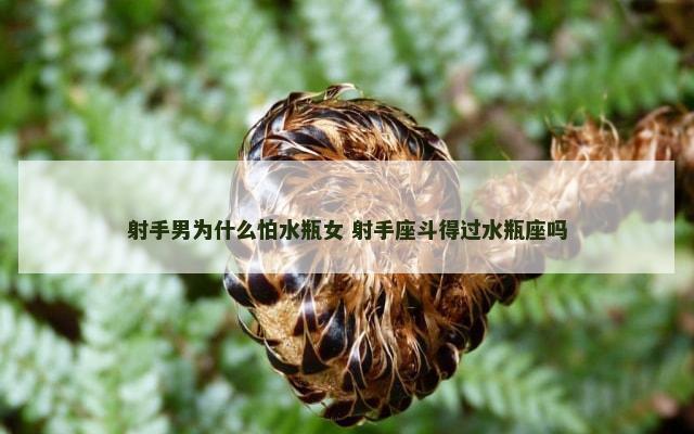 射手男为什么怕水瓶女 射手座斗得过水瓶座吗