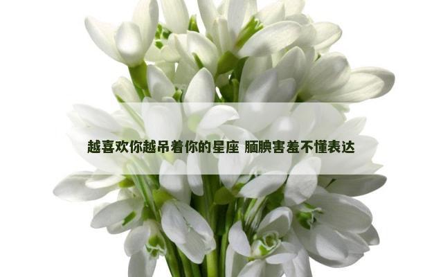 越喜欢你越吊着你的星座 腼腆害羞不懂表达