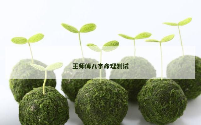 王师傅八字命理测试