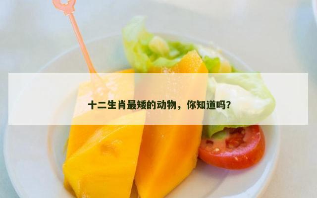 十二生肖最矮的动物，你知道吗？