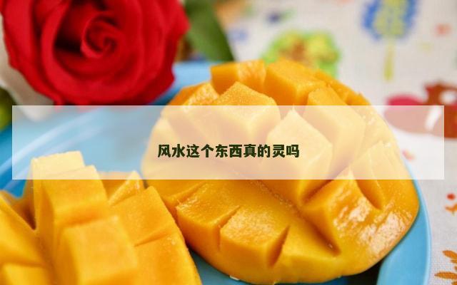 风水这个东西真的灵吗