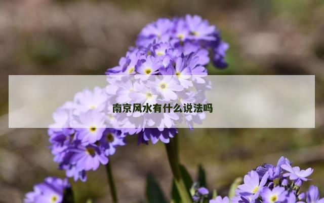 南京风水有什么说法吗