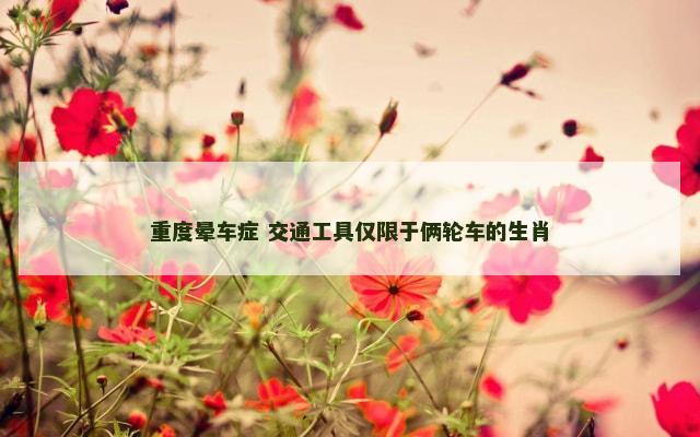 重度晕车症 交通工具仅限于俩轮车的生肖