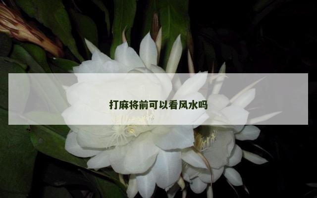 打麻将前可以看风水吗