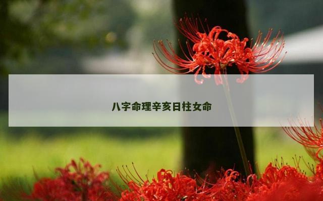 八字命理辛亥日柱女命