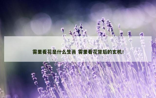 雾里看花是什么生肖 雾里看花背后的玄机！