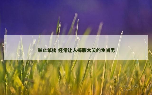 举止笨拙 经常让人捧腹大笑的生肖男