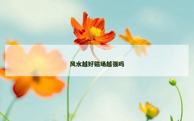 风水越好磁场越强吗