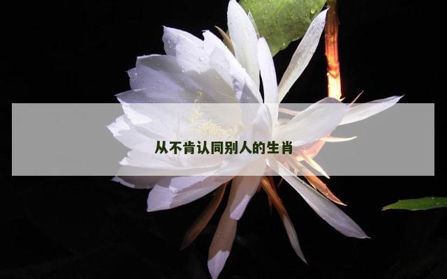 从不肯认同别人的生肖