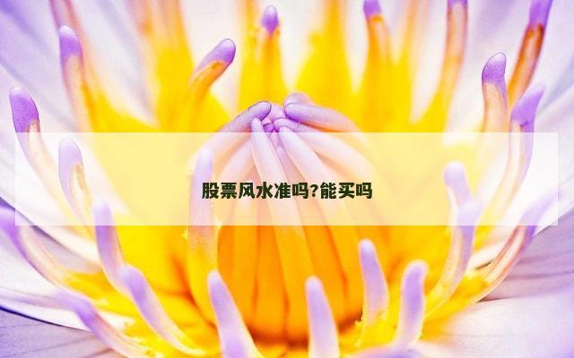股票风水准吗?能买吗