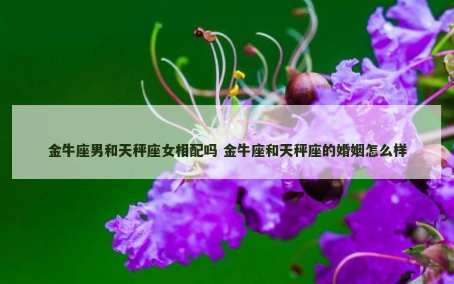 金牛座男和天秤座女相配吗 金牛座和天秤座的婚姻怎么样