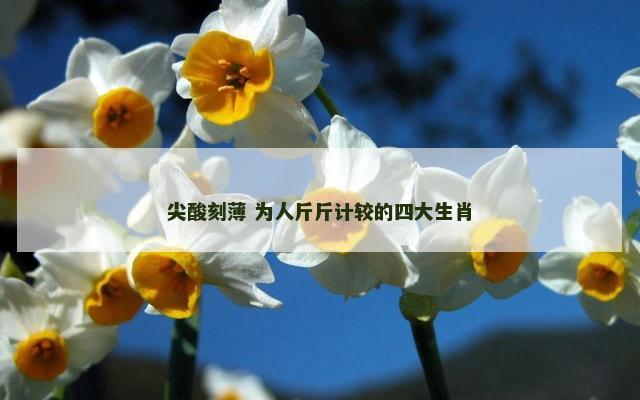 尖酸刻薄 为人斤斤计较的四大生肖