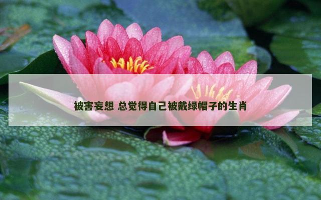 被害妄想 总觉得自己被戴绿帽子的生肖