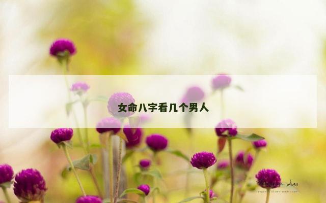 女命八字看几个男人