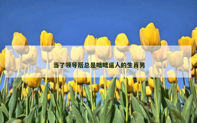 当了领导后总是咄咄逼人的生肖男