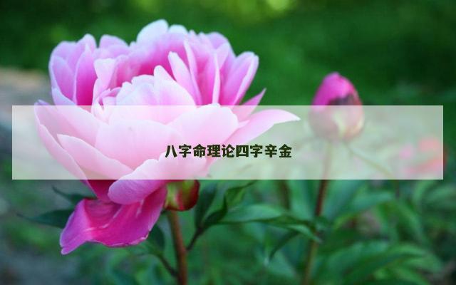 八字命理论四字辛金