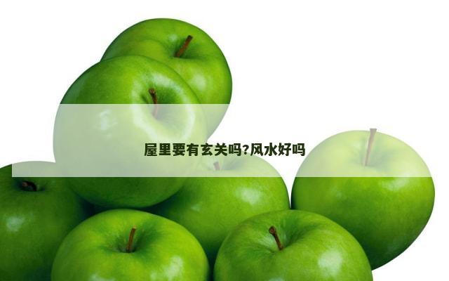 屋里要有玄关吗?风水好吗