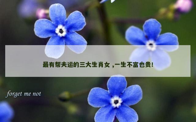 最有帮夫运的三大生肖女 ,一生不富也贵！