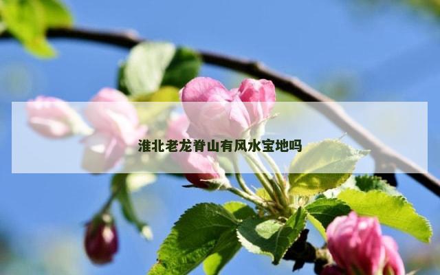 淮北老龙脊山有风水宝地吗