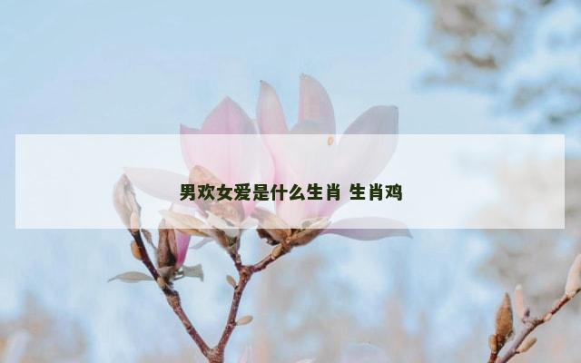 男欢女爱是什么生肖 生肖鸡