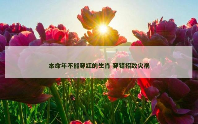 本命年不能穿红的生肖 穿错招致灾祸