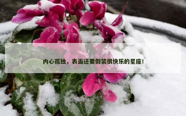 内心孤独，表面还要假装很快乐的星座！