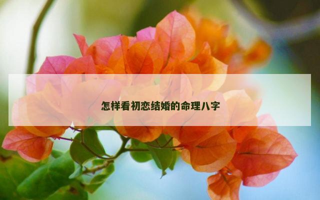 怎样看初恋结婚的命理八字