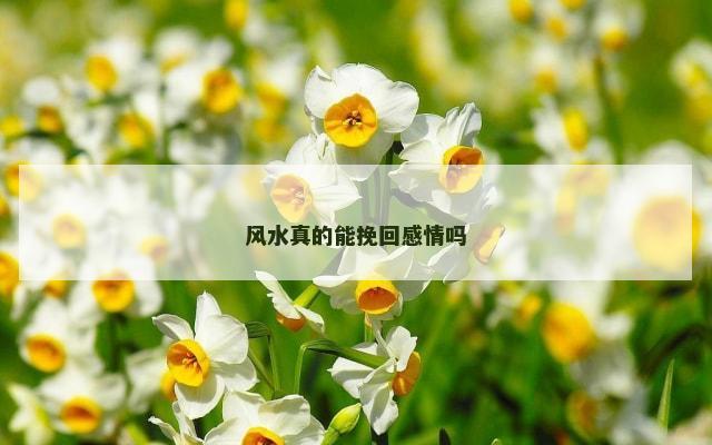 风水真的能挽回感情吗
