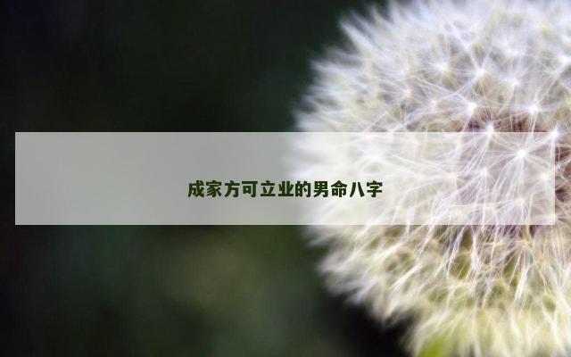 成家方可立业的男命八字