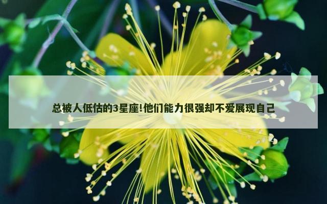 总被人低估的3星座!他们能力很强却不爱展现自己