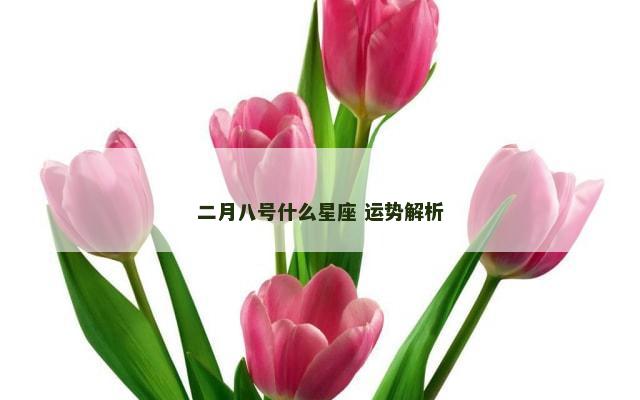 二月八号什么星座 运势解析