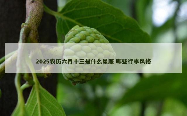 2025农历六月十三是什么星座 哪些行事风格