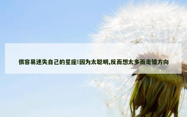 很容易迷失自己的星座!因为太聪明,反而想太多而走错方向